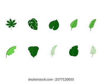 Tropical Leaf Illustration Element Set