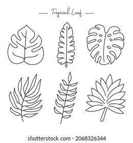 Tropical leaf illustration isolated on white background