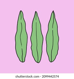 Tropical leaf illustration vector with background