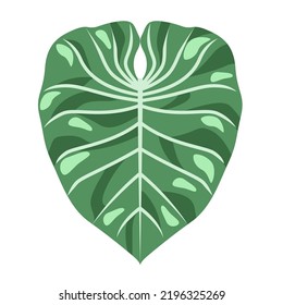 A tropical leaf isolated on a white background.Vector illustration.