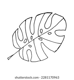 Tropical leaf isolated on white background.Monstera.Doodle style.