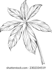 Tropical leaf isolated on white. Hand drawn vintage illustration.