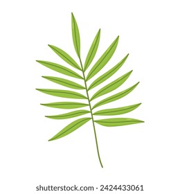 Tropical leaf isolated on white background. Vector hand-drawn illustration. Perfect for logo, cards, decorations, various designs. Botanical clipart.