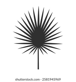 Tropical leaf isolated on white background. Black palm leaf silhouette. Vector illustration