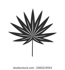 Tropical leaf isolated on white background. Black palm leaf silhouette. Vector illustration