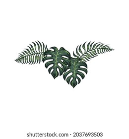 tropical leaf or jungle leaf