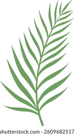 Tropical Leaf Leaves Palm Jungle Green Summer Nature Exotic Botanical Foliage Paradise Plant Garden Rainforest Wild Forest