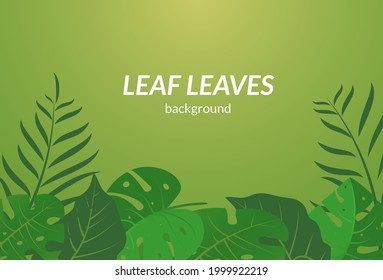 Tropical Leaf Leaves vector with green background. Suitable for summer banner