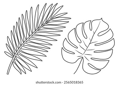 tropical leaf line art. leaf drawing