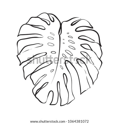 Tropical Leaf Line Art Outline Icon Stock Vector (Royalty Free