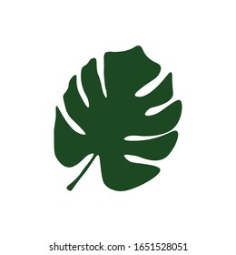 Logo de la hoja tropical. Monstera verde