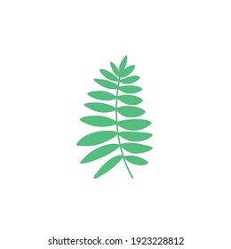 Tropical leaf logo symbol design vector on white background stock Illustration . 