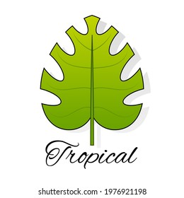 Tropical leaf logo vector for design and printing of postcards T-shirts.