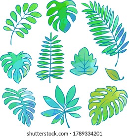 Tropical leaf material illustration set