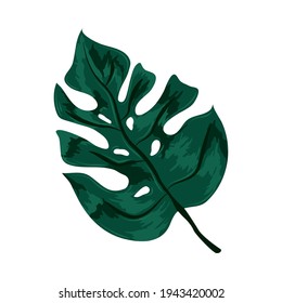 icono de la hoja tropical monstera aislado