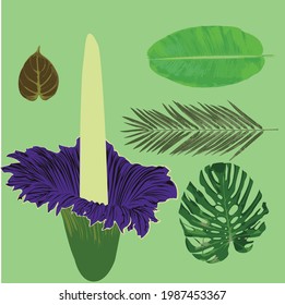 Tropical leaf and more detail