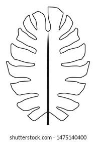 Tropical leaf nature cartoon symbol ,vector illustration graphic design.