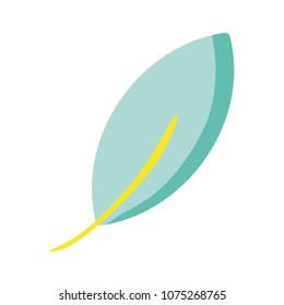 tropical leaf nature to exotic tree
