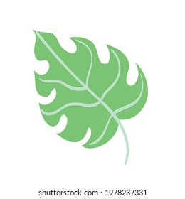 tropical leaf nature isolated icon