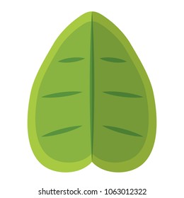 tropical leaf of nature tree design