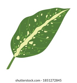 Tropical Leaf on Stem as Exotic Flora Vector Illustration