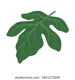 Tropical Leaf on Stem as Exotic Flora Vector Illustration