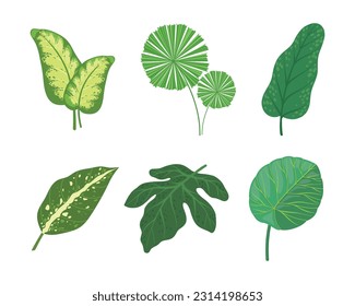 Hojas tropicales en el stem como conjunto de ilustraciones vectoriales de flores exóticas