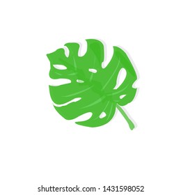 Tropical Leaf On the summer