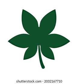 tropical leaf on white background
