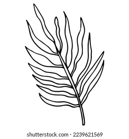 Tropical Leaf on White Background for your Design . Isolated Vector Elements