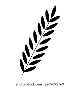 Tropical leaf on white background