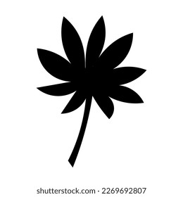 Tropical leaf on white background