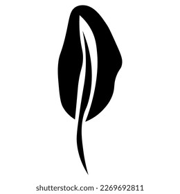 Tropical leaf on white background