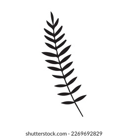 Tropical leaf on white background