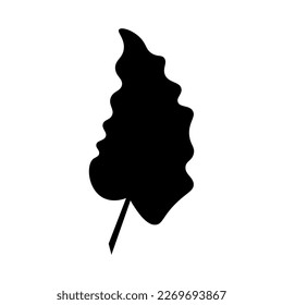Tropical leaf on white background