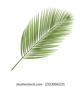 Tropical Leaf on White Background 3D Style . Isolated Vector Element