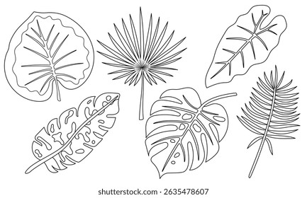 Tropical Leaf Outline Collection. Editable stroke. Vector Set of Exotic Jungle Plant Leaves, Line Art, Palm, Monstera, Banana, Botanical Elements, Coloring Page, Black and White, Isolated Clipart