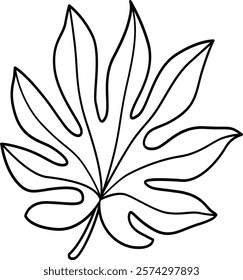  Tropical leaf outlines perfect for minimalist designs, botanical art, or nature-inspired projects.