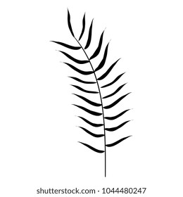 tropical leaf palm icon
