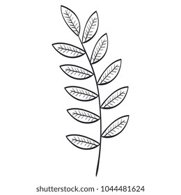tropical leaf palm icon