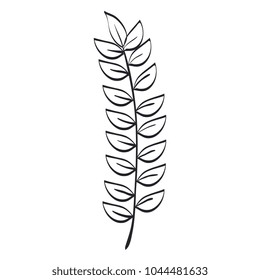 tropical leaf palm icon