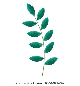 tropical leaf palm icon