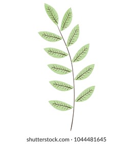 tropical leaf palm icon