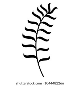 tropical leaf palm icon