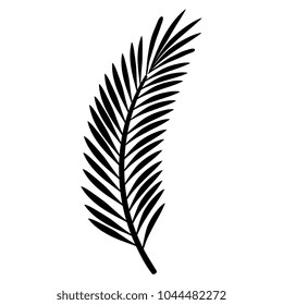 tropical leaf palm icon