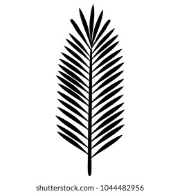 tropical leaf palm icon