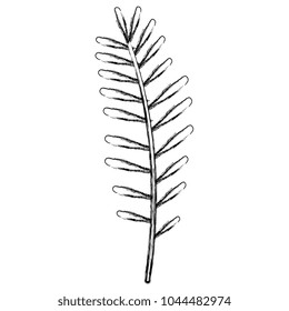 tropical leaf palm icon