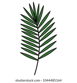 tropical leaf palm icon