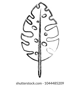 tropical leaf palm icon