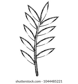 tropical leaf palm icon
